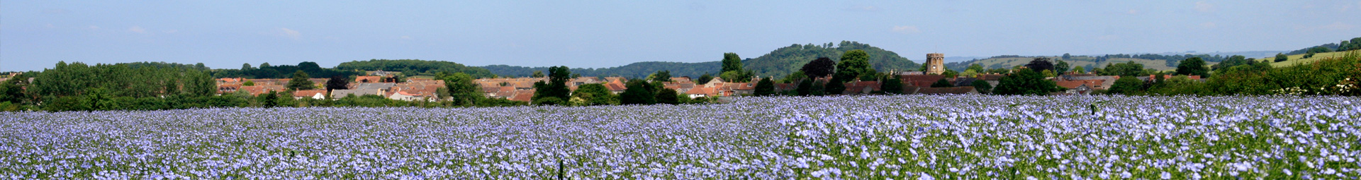 Somerset Countryside